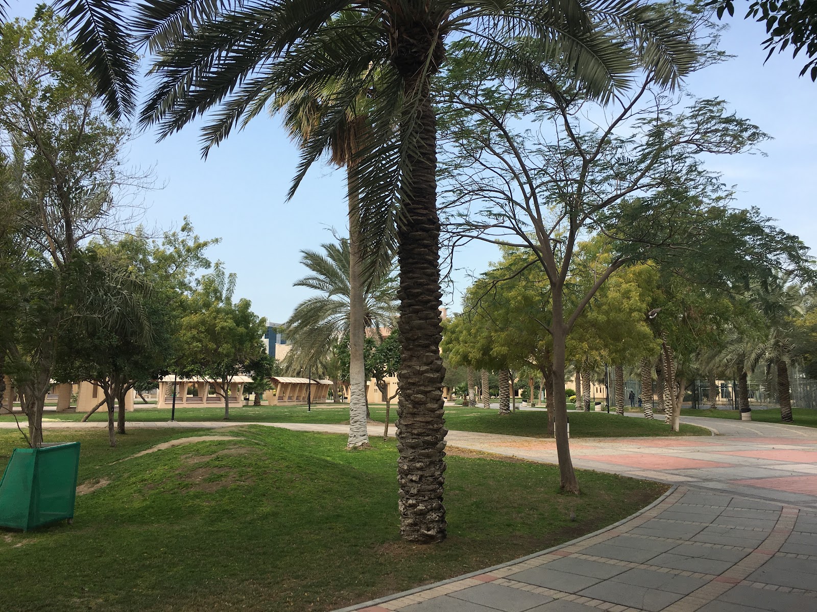 Andalus Garden 1
