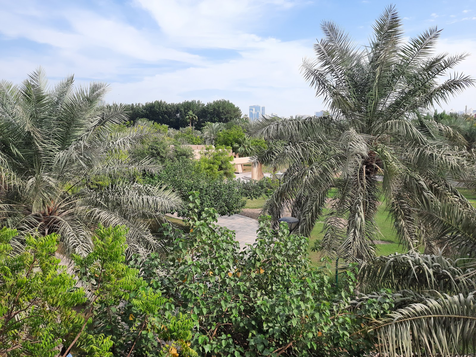 Andalus Garden - Photo 5