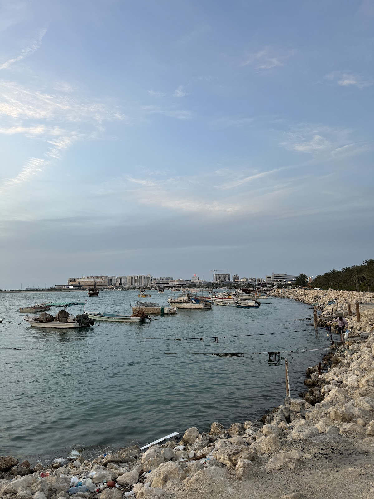 Bahrain Bay Waterfront - Photo 5